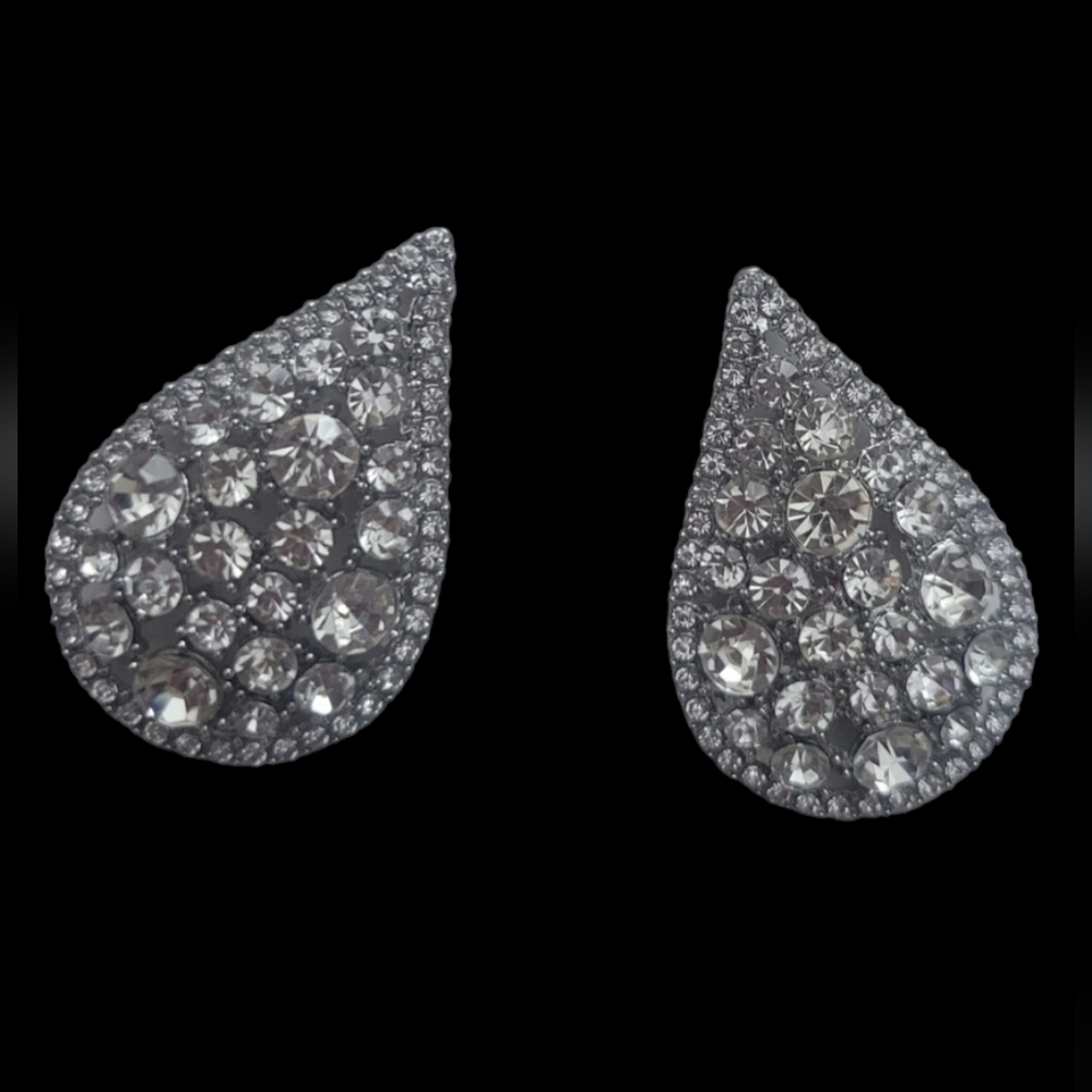 Sparkling earrings